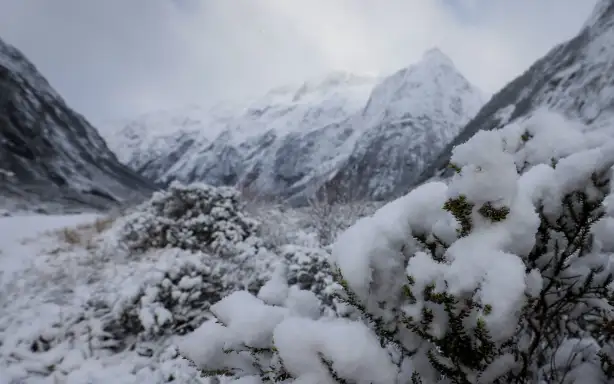 Closed Milford Road during winter