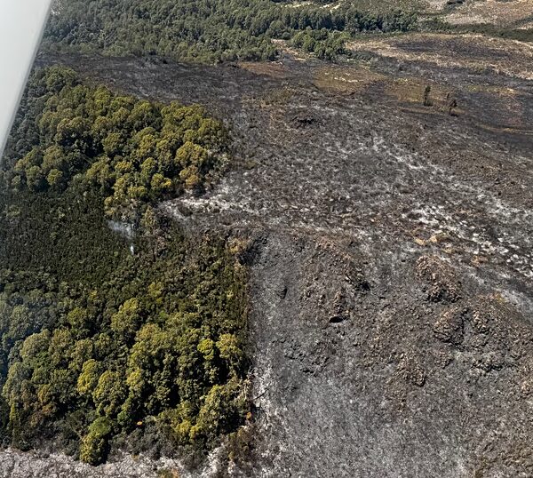 Лісові пожежі на горі Кенія загрожують дикій природі та водопостачанню