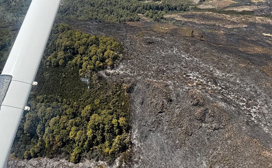 Лісові пожежі на горі Кенія загрожують дикій природі та водопостачанню