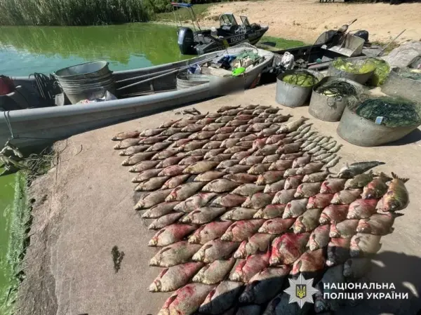 поліцейський катер на воді, пришвартований до причалу риболовецький човен, риба рядами лежить на причалі, поруч стоять металеві ємності з сітками