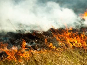 У Кременчуцькому районі внаслідок падіння ворожого БпЛА виникла пожежа