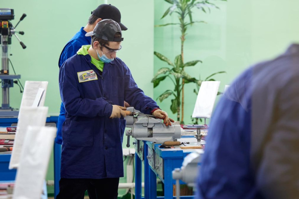 Найпопулярніші спеціальності коледжів 2026: вибір абітурієнтів
