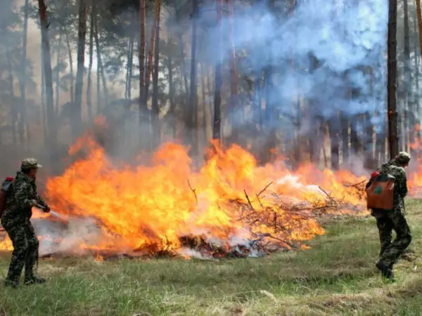 Полтавщина — у «червоній зоні» пожежної небезпеки: прогноз на 2–5 вересня