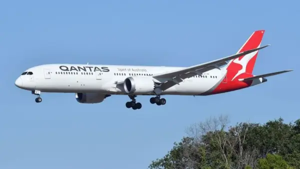 Рейс Qantas скасували через нашестя клопів