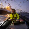 Spatial ecologist Emma Vogel photographed biologist Audun Rikardsen as they tracked whales in a fjord in northern Norway.