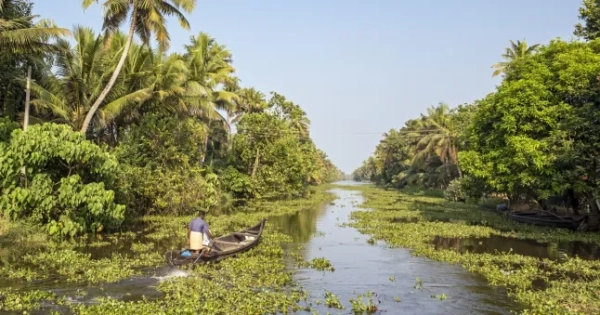 A man in a small boat glides through a canal near Kumarakom, Kerala backwaters, India. (Photo by: Petr Svarc/UCG/Universal Images Group via Getty Images)