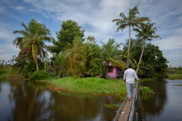 MANKOMBU, INDIA - AUGUST 21: A man walks on a bridge leading to a house surrounded by water on August 21, 2024 in Mankombu village, Kuttanad region, India. Kuttanad???a 900 square kilometer delta region in Kerala, located 2.2 metres below sea level, the lowest-lying zone in India, and serviced by the flow of the Pamba, Achenkovil, Manimala and Meenachil??rivers is a template to show human coexistence with nature and water. Unplanned development, an abundance of water and the geographical uniqueness of the region causing the riverine network??to flood frequently making homes uninhabitable, agricultural fields hard to cultivate and infrastructure inaccessible, posing significant eco-climatic and hydrological??challenges to the residents. People in the region are adapting to these challenges with innovation and understanding of the land by raising their homes above flood levels, building new homes on stilts and living in uneasy harmony with the land and the rivers around them. (Photo by Abhishek Chinnappa/Getty Images)